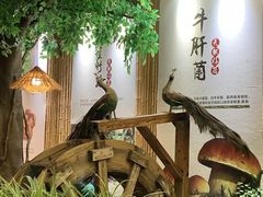 -大理董·董家小厨野生菌火锅(古城旗舰店)