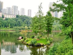 -重庆彩云湖湿地公园