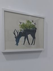 -索菲医疗整形美容