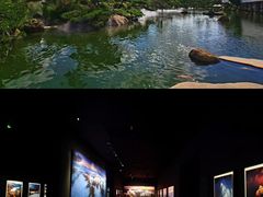 -罗红摄影艺术馆