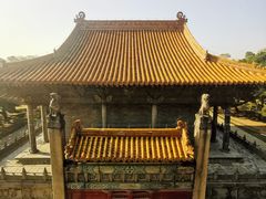 -北陵公园