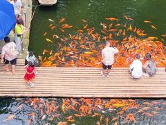 -千岛湖东南湖区
