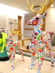 -北京亚运村美中宜和妇儿医院