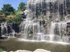 -北京西山国家森林公园