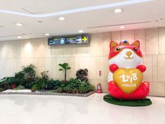 -升恒昌免税商店(台北松山机场店)