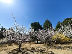 -北京西山国家森林公园