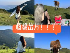 -大姆山草场