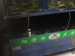 -阳澄湖大闸蟹·琼灵阁牌品牌连锁(吴中总店)