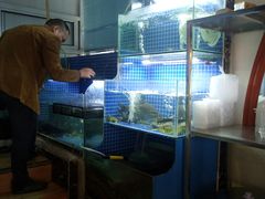 -开小灶(公望街店)