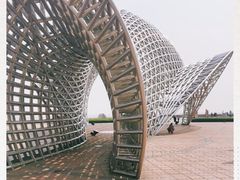 -南汇嘴观海公园