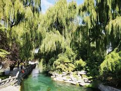 -百脉泉景区