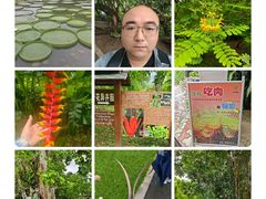 -中国科学院西双版纳热带植物园