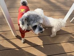 -小意思咖啡店(草桥店)