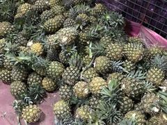 -三亚新鸿港水果一级批发市场