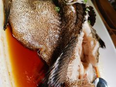 -开海·红岛海鲜虾水饺(石老人店)