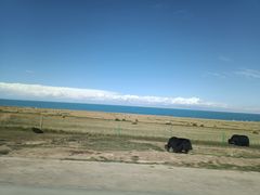 -青海湖国家重点风景名胜区