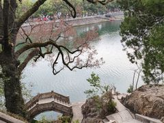 -蒋氏故居