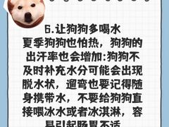 -爱侣·安琦尔宠物医院·中兽医针灸·心内科·狂犬免疫点(宝山区院)