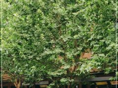 -张福记(陇海中路店)