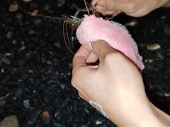 -DGE季风钓虾营地·团建·聚会