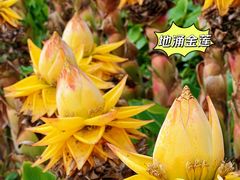 -南通洲际绿博园