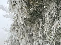 -秦岭终南山世界地质公园翠华山景区