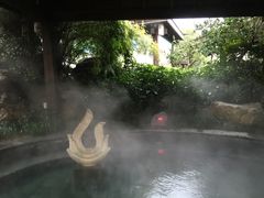 -杭州第一世界大酒店·云曼温泉