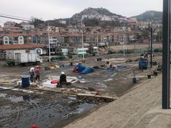 -青岛沙子口国家中心渔港