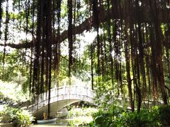 -小洲村