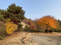 -古崖居风景名胜区