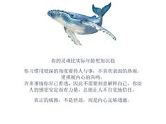 -观心实验室·心理咨询(上海旗舰店)