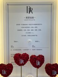 -DR钻戒(南宁会展航洋城店)