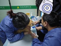-半岛宠物医院24小时(科华中路店)