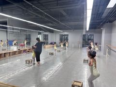 -舞蕾舞蹈(特长生校区)