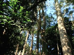 -广州市干部健康管理中心