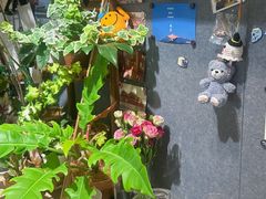 -之悦咖啡馆(新星宇·之洲店)