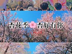 -吉林大学(南岭校区)