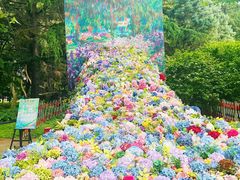 -上海共青森林公园