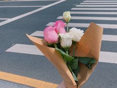 -豆豆花艺(新光天地店)