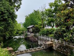 -大唐贡茶院