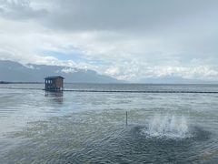 -洱海月湿地公园