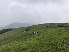 -灵山