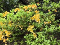 -杭州植物园