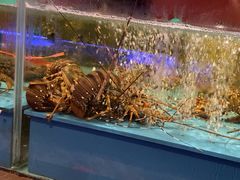 -阿伟海鲜楼·福建菜(延寿店)