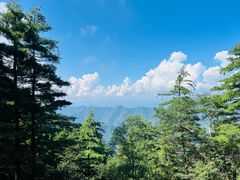 -秦岭天竺山生态文化旅游景区