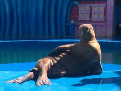 -华夏文旅海洋公园