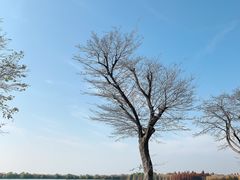 -滆湖低碳生态公园