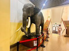 -国家自然博物馆