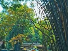 -成都杜甫草堂博物馆