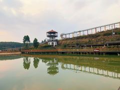 -田园寨农园观光园